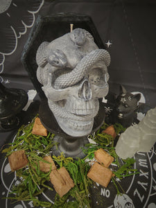 Blue Sage & Seasalt Giant Medusa Skull Candle