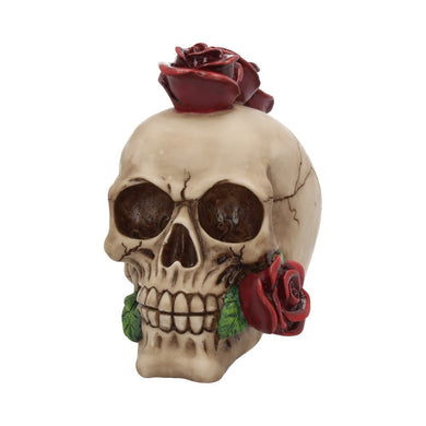 Skull with Rose