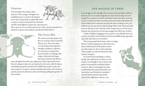 The Witch's Way - Guide to Modern-Day Spellcraft, Nature Magick, and Divination