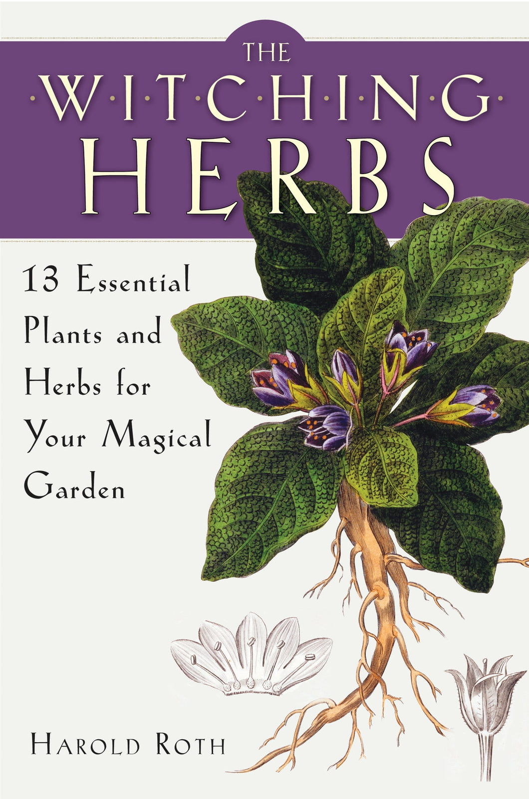 The Witching Herbs - 13 Essential Plants and Herbs for Your Magical Garden
